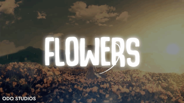 Mr Platinum "De Big Bad Wolf" - Flowers Feat. Bagga (Official Visualizer)